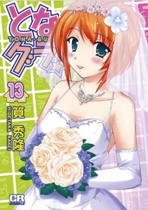 couverture, jaquette Tona-Gura! 13  (Jive) Manga