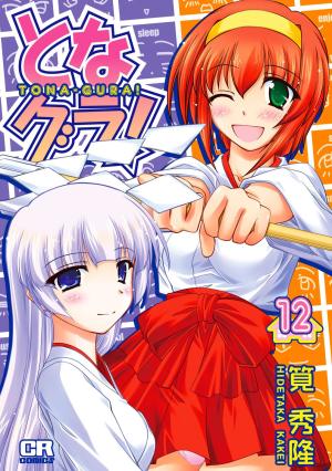 couverture, jaquette Tona-Gura! 12  (Jive) Manga