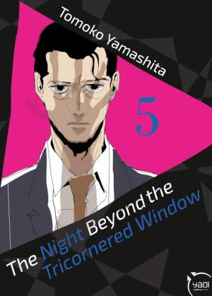 The Night Beyond the Tricornered Window 5 simple