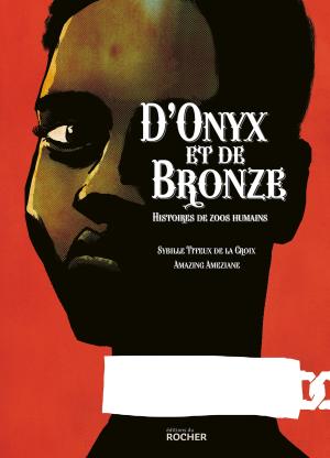 D'onyx et de bronze édition simple