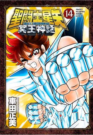 couverture, jaquette Saint Seiya - Next Dimension 14  (Akita shoten) Manga