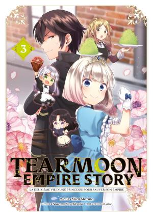 couverture, jaquette Tearmoon Empire Story 3  (meian) Manga