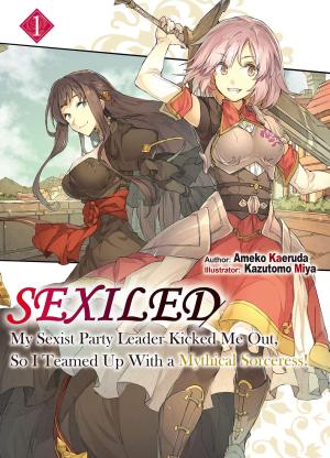 Sexiled: My Sexist Party Leader Kicked Me Out, so I Teamed up With a Mythical Sorceress! 1