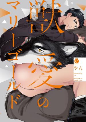 couverture, jaquette Junai no marigorudo   (Media soft) Manga