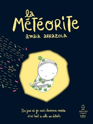 La météorite 1