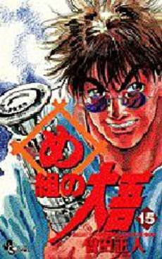 couverture, jaquette Daigo, Soldat du Feu 15  (Shogakukan) Manga