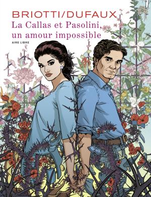 La Callas et Pasolini, un amour impossible édition simple