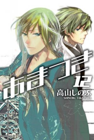 couverture, jaquette Amatsuki 12  (Ichijinsha) Manga