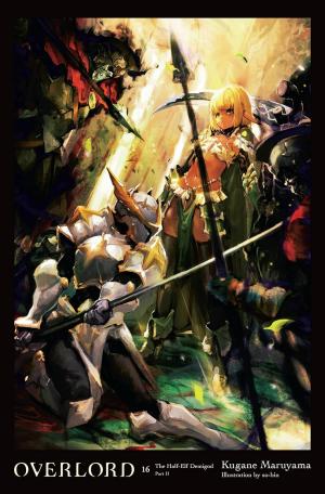 couverture, jaquette Overlord 16  (Yen On) Light novel