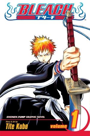 Bleach 1 - Strawberry and the Soul Reapers