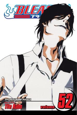 couverture, jaquette Bleach 52  - End of BondAméricaine (Viz media) Manga