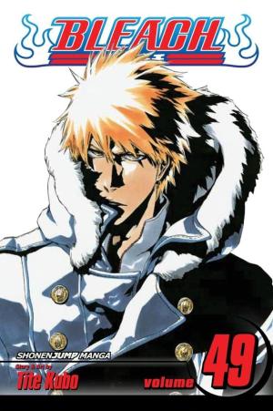 Bleach 49 - The Lost Agent