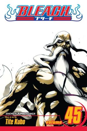 couverture, jaquette Bleach 45  - The Burnout InfernoAméricaine (Viz media) Manga