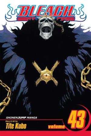 couverture, jaquette Bleach 43  - Kingdom of HollowsAméricaine (Viz media) Manga