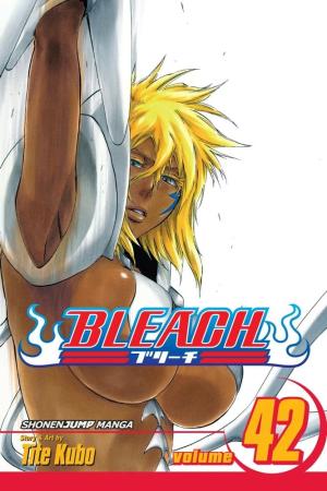 couverture, jaquette Bleach 42  - Shock of the QueenAméricaine (Viz media) Manga