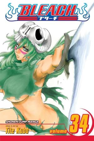 couverture, jaquette Bleach 34  - King of the KillAméricaine (Viz media) Manga