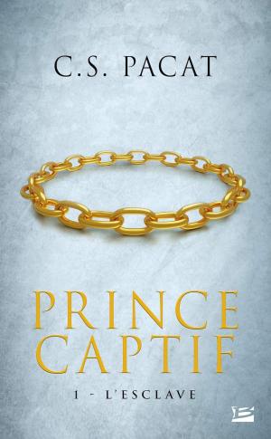 Prince Captif édition simple