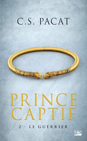 Prince Captif 2
