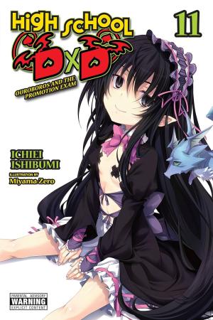 couverture, jaquette High School DxD 11  (Yen On) Light novel