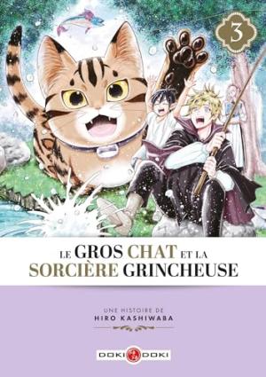 couverture, jaquette Le Gros Chat Et La Sorciere Grincheuse 3  (doki-doki) Manga