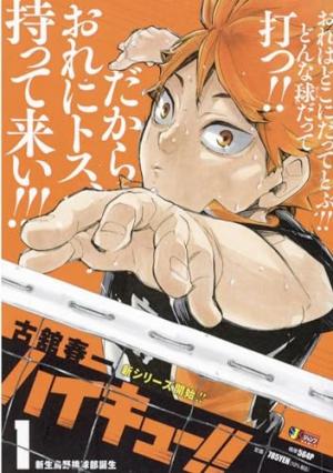 Haikyû !! Les as du volley Smash Edition 1 Manga