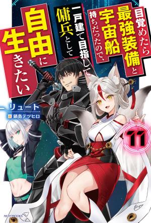 Mezametara Saikyou Soubi to Uchuusen Mochi Datta node, Ikkodate Mezashite Youhei to Shite Jiyuu ni Ikitai 11 Light novel