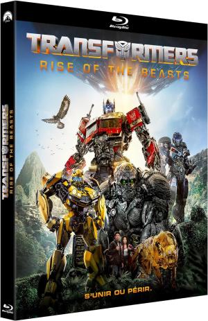 Transformers: Rise of the Beast édition simple