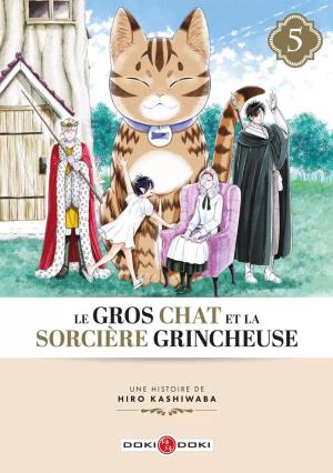 couverture, jaquette Le Gros Chat Et La Sorciere Grincheuse 5  (doki-doki) Manga