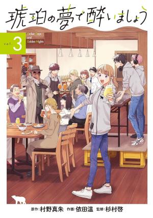 couverture, jaquette Songe d'une nuit ambrée 3  (Mag garden) Manga
