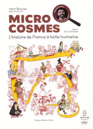 Microcosmes - L'histoire de France à taille humaine édition simple