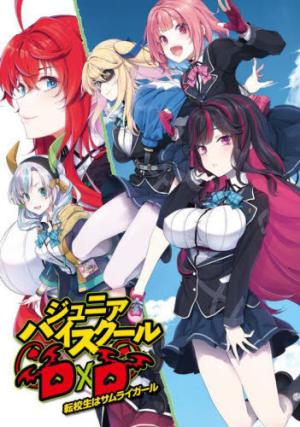 Junior High School DXD édition simple