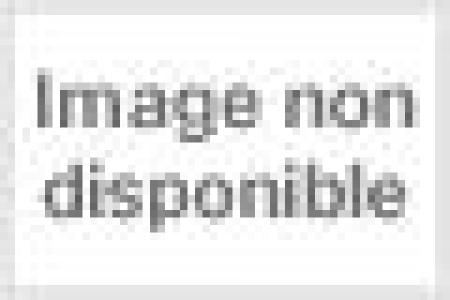 Sword art Online 11 Light novel