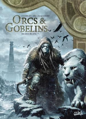 Orcs & gobelins #30