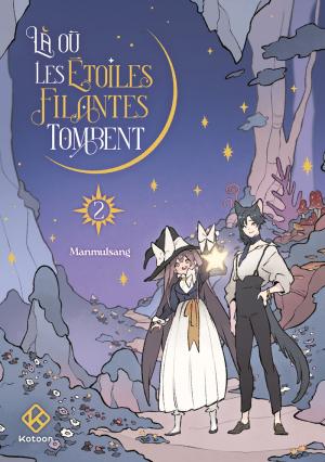 Là où les étoiles filantes tombent 2 simple
