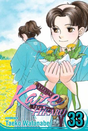 couverture, jaquette Kaze Hikaru 33 USA (Viz media) Manga