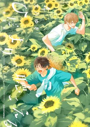 Hidamari ga Kikoeru - Au fil des saisons 4