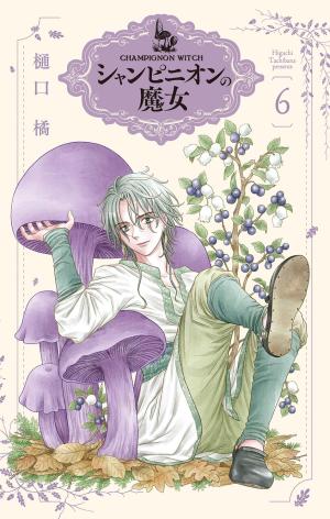 La sorcière aux champignons 6