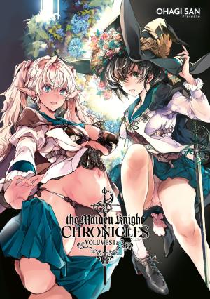 couverture, jaquette The Maiden Knight Chronicles 1  - Tomes 1 & 2coffret (Hot manga) Manga