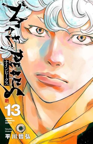 couverture, jaquette Nine peaks 13  (Akita shoten) Manga