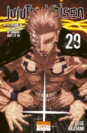 Jujutsu Kaisen #29