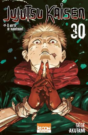 Jujutsu Kaisen #30