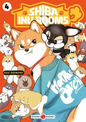 Shiba Inu Rooms #4