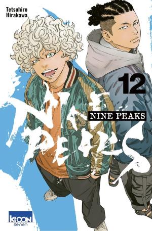 Nine peaks #12