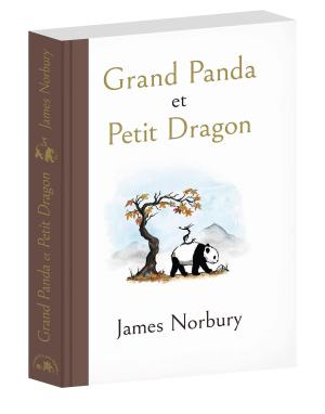 Grand Panda et Petit Dragon  simple