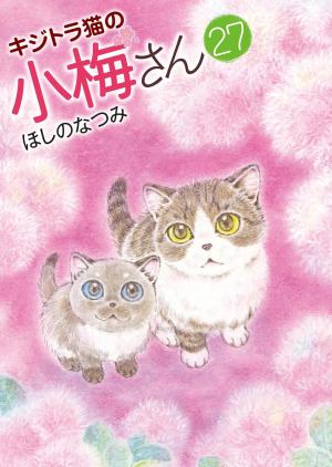 Plum, un amour de chat 27