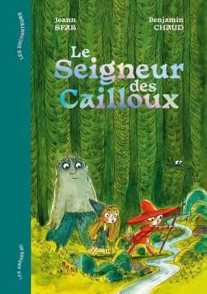 Le seigneur des cailloux  simple