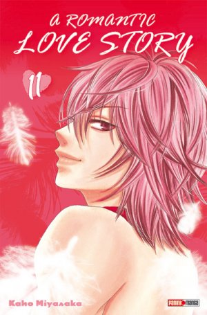 couverture, jaquette A Romantic Love Story 11  (Panini manga) Manga