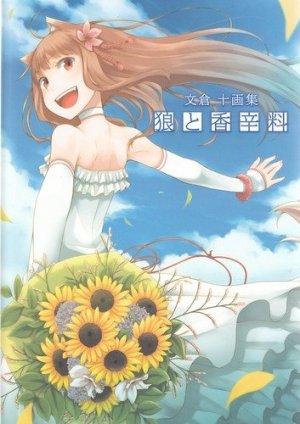 couverture, jaquette Spice and Wolf Complete Artworks   (ASCII Media Works) Artbook
