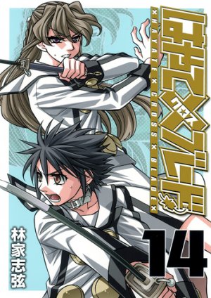 couverture, jaquette Hayate x Blade 14  (Shueisha) Manga