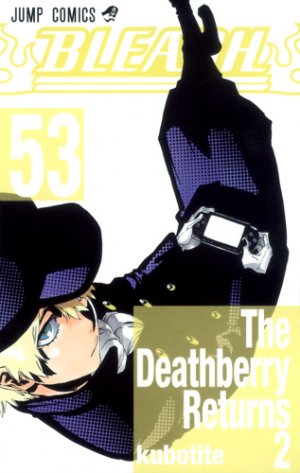 couverture, jaquette Bleach 53  (Shueisha) Manga